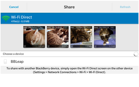share bb